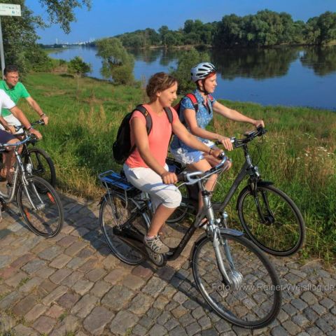 Radfahren-im-Elbtal-Elberadweg.jpg